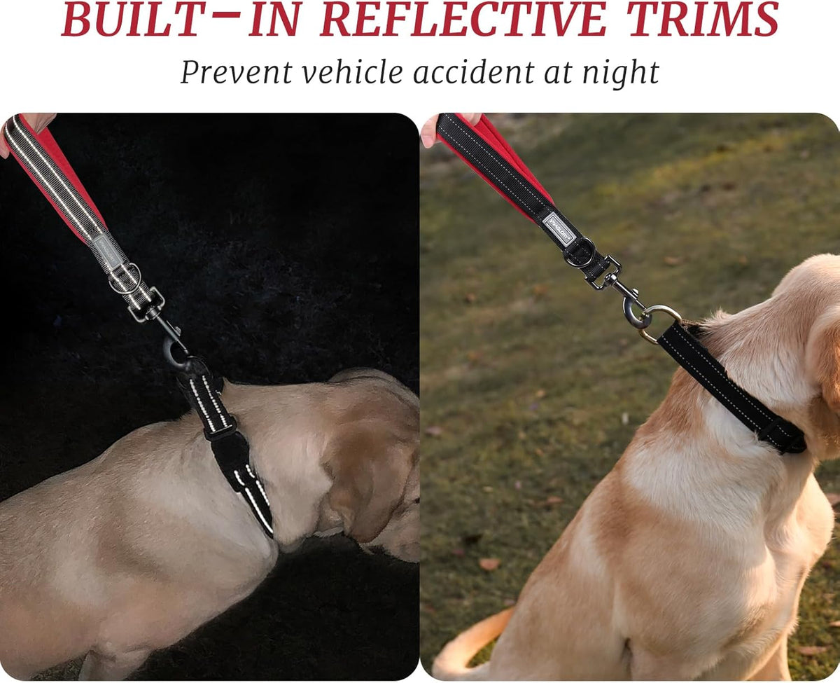 Short Dog Leash Closelyt Traffic Leash for Dog, 12In, Black/Red