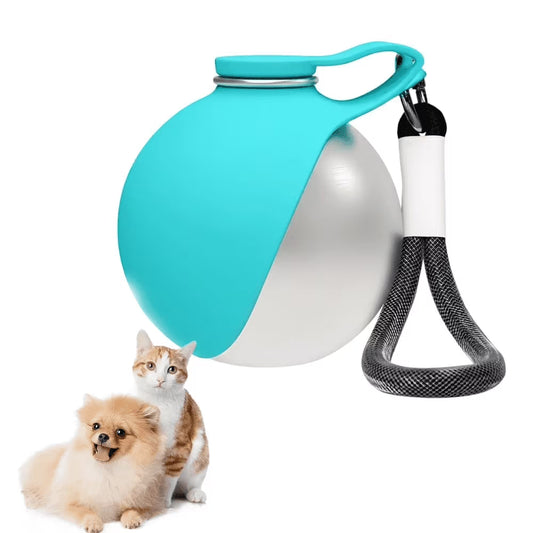 2 in 1 Portable Dog Water Bottle with Foldable Bowl, 10Oz Stainless Steel Pet Water Bottle for Dogs, Leak Proof Travel Dog Water Dispenser for Walking, Hiking, Camping & Travel