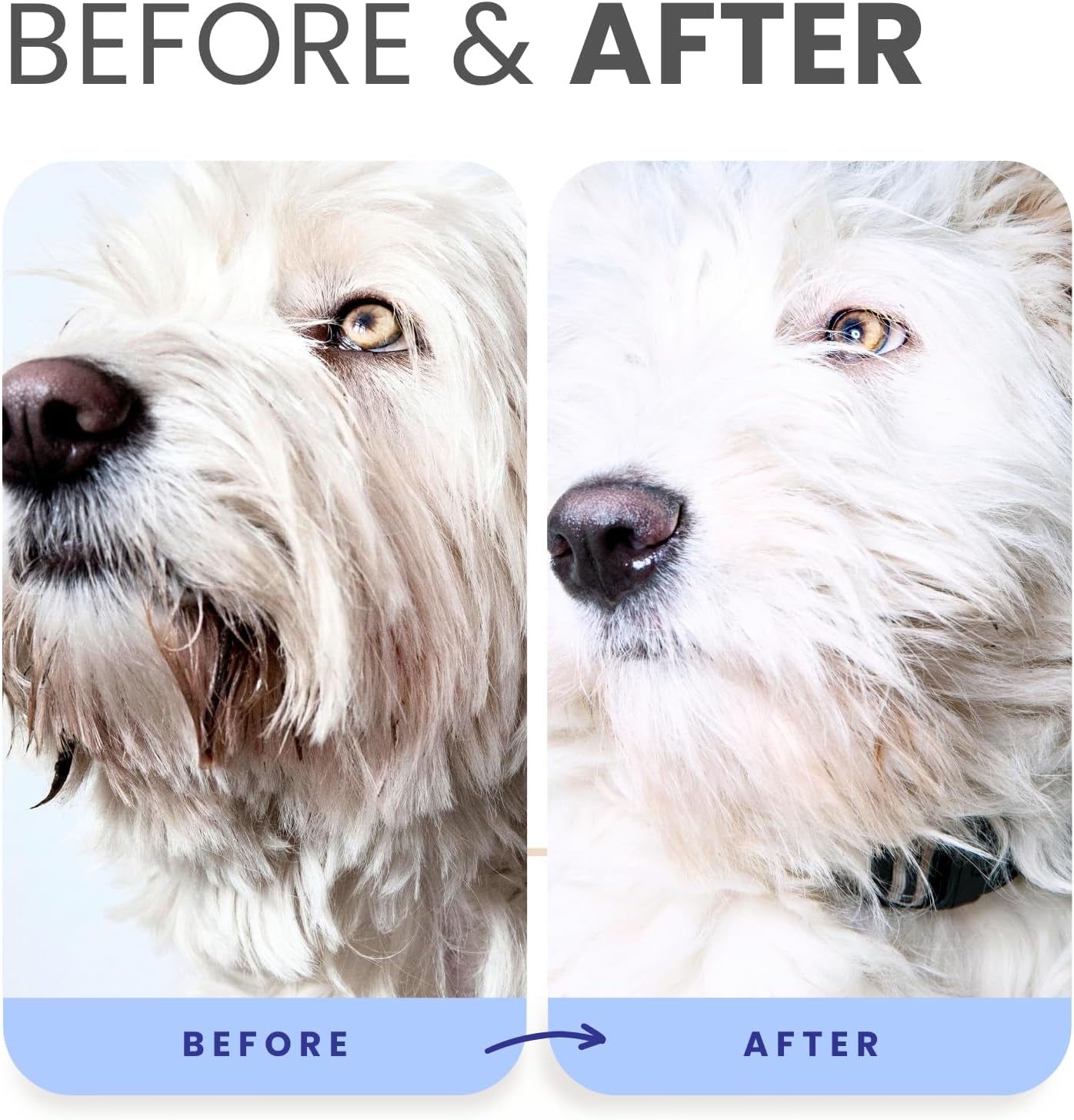 PRO Formula Berry Blue Brightening Pet Shampoo - Ultra-Hydrating Professional Whitening Dog Shampoo, Vivid Show-Quality Coat Enhancer, Tear Stain & Odor Eliminator with Provitamin B5 16Oz
