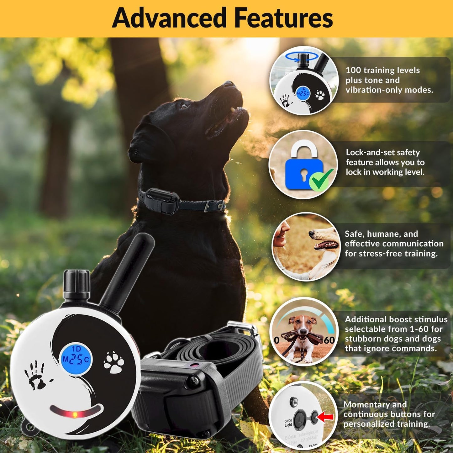 E-Collar Mini  ET-300 Remote Dog Training Collar, ZEN