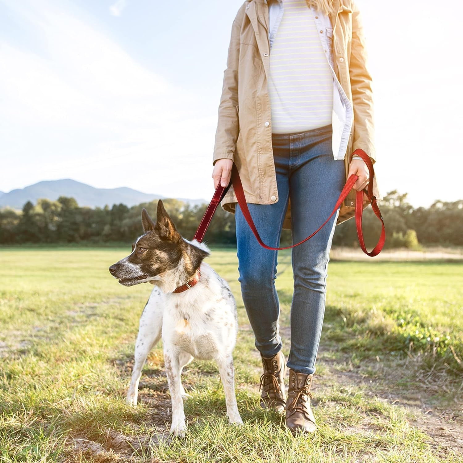 4FT 1IN Heavy Duty Dog Leash for Large Dogs with 2 Padded Handles