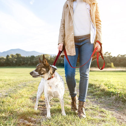 4FT 1IN Heavy Duty Dog Leash for Large Dogs with 2 Padded Handles