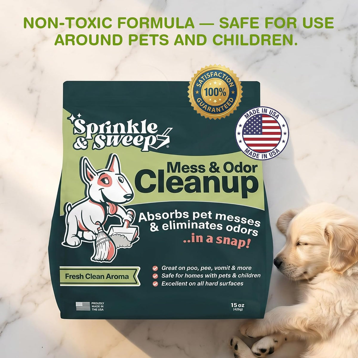 : Pet Mess & Odor Cleanup Duo - 15Oz Bag & Dustpan Broom - Dog Accident Clumping Powder, Remove Urine-Poop-Vomit from Hard Services