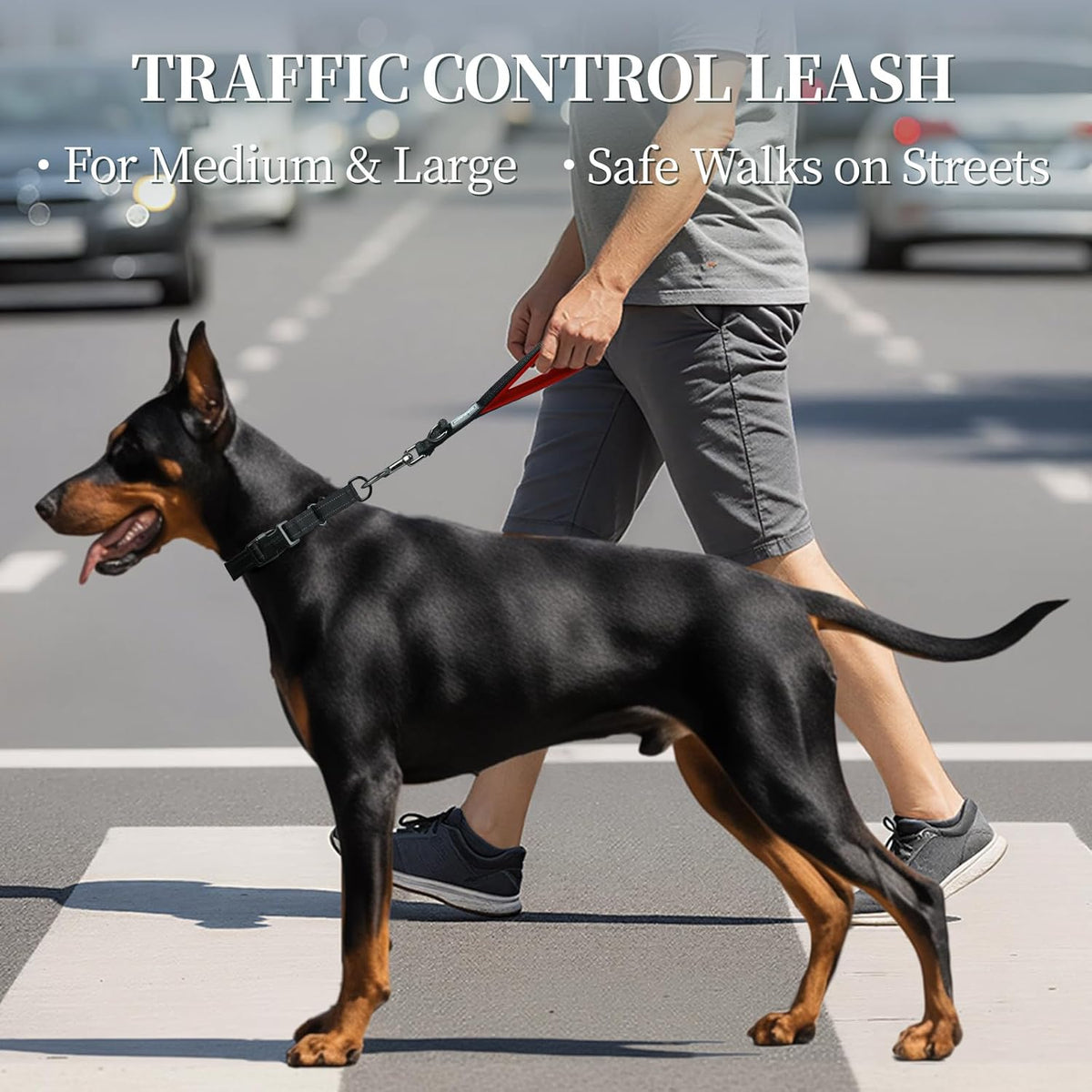 Short Dog Leash Closelyt Traffic Leash for Dog, 12In, Black/Red