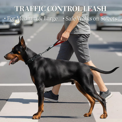 Short Dog Leash Closelyt Traffic Leash for Dog, 12In, Black/Red