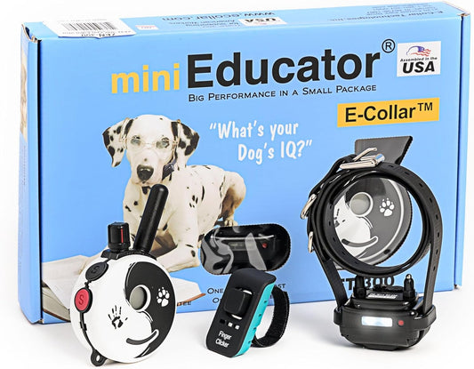 E-Collar Mini  ET-300 Remote Dog Training Collar, ZEN