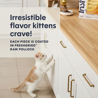 Original Kitten Dry Food, Raw Coated, Real Chicken, 4.5 Lb. Bag