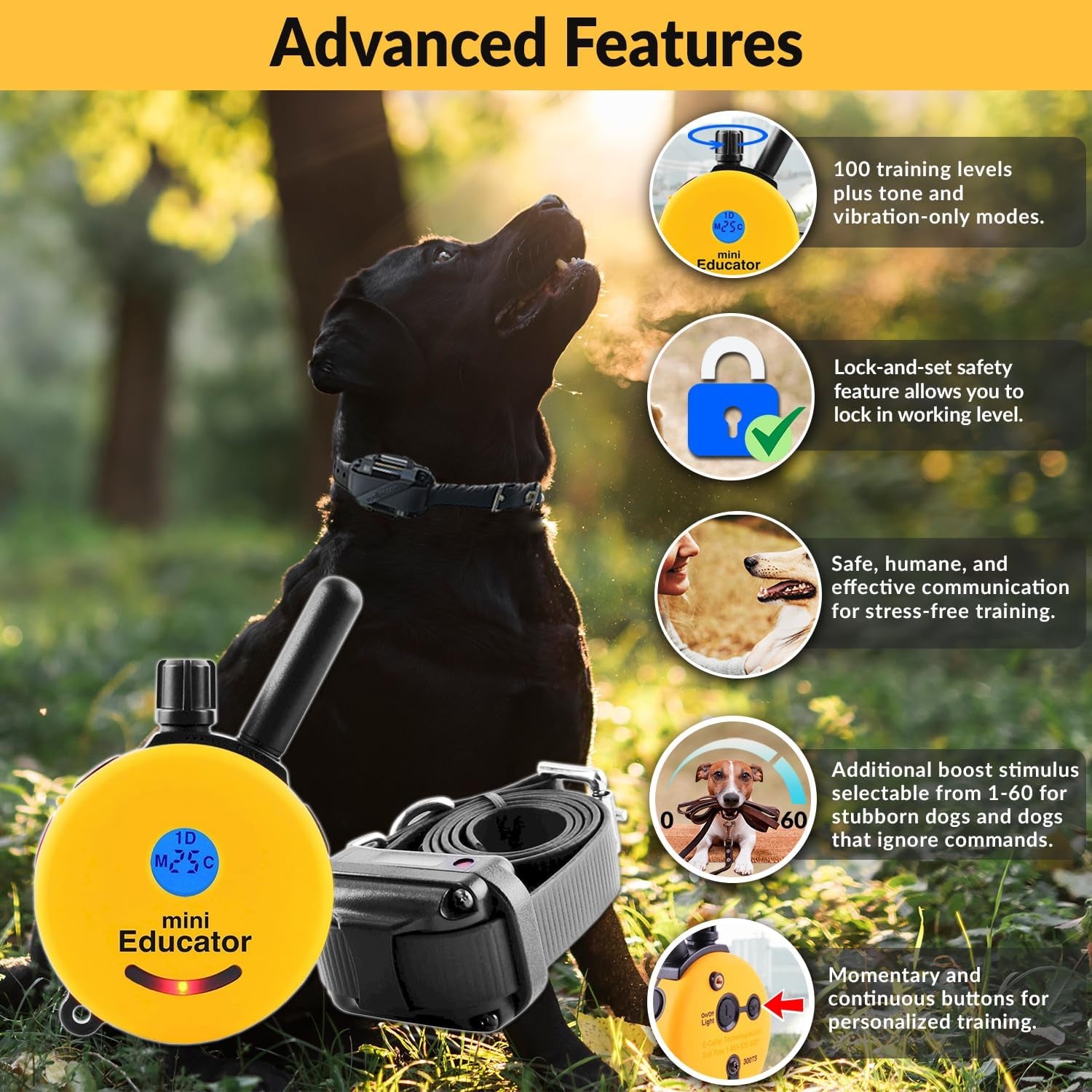 E-Collar ET-300 Mini  Dog Training Collar & Finger Clicker, Yellow