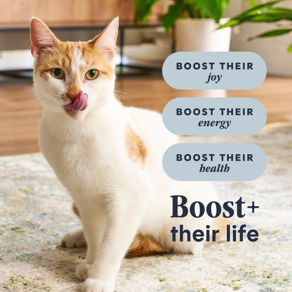 Rawboost, Dry Cat Food + Freeze Dried, Real Chicken, 10 Lb Bag