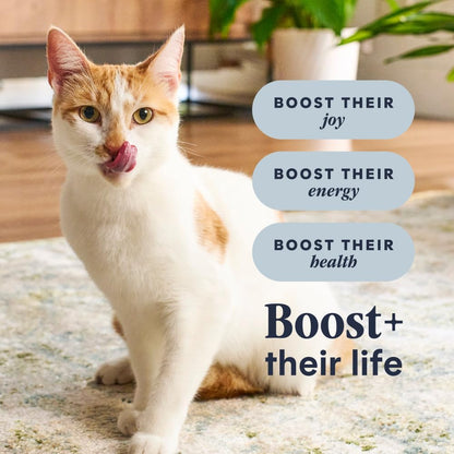 Rawboost, Dry Cat Food + Freeze Dried, Real Chicken, 10 Lb Bag