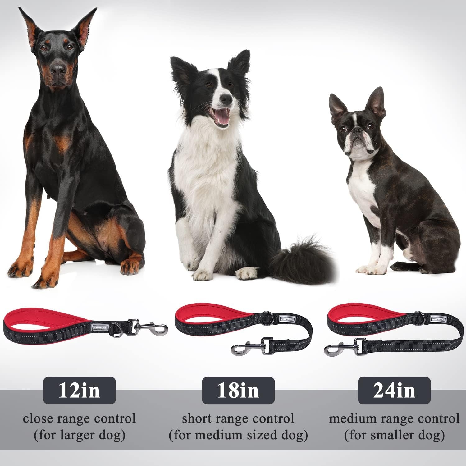 Short Dog Leash Closelyt Traffic Leash for Dog, 12In, Black/Red
