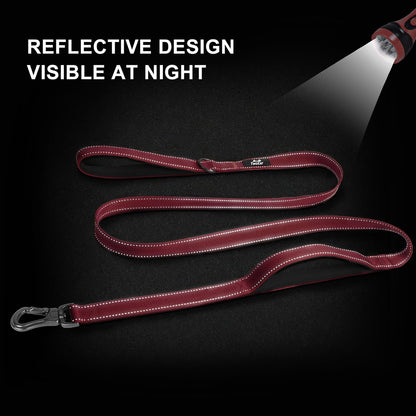 4FT 1IN Heavy Duty Dog Leash for Large Dogs with 2 Padded Handles