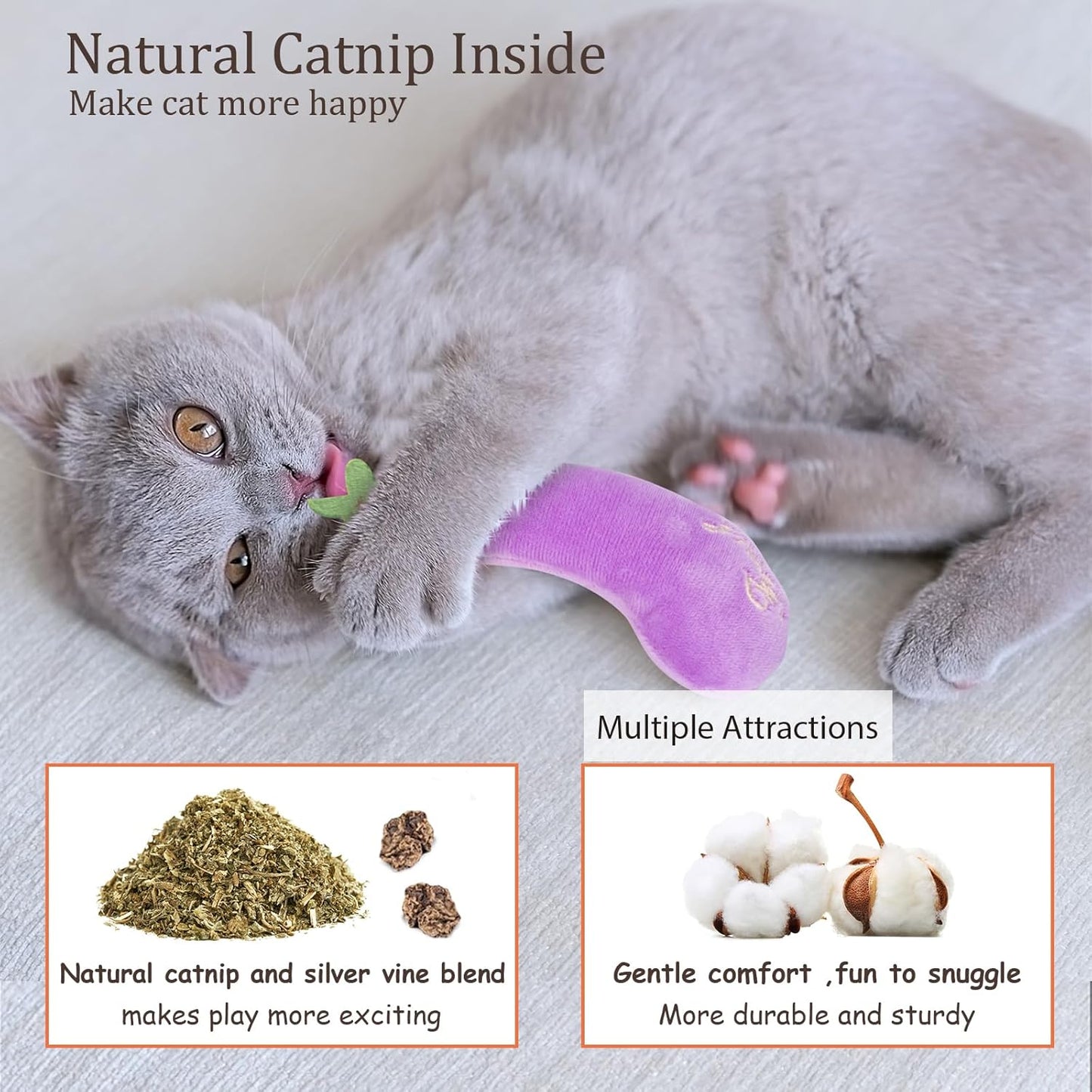 Catnip Cat Toys for Indoor Cats, Vegetable Shape 5 Pack