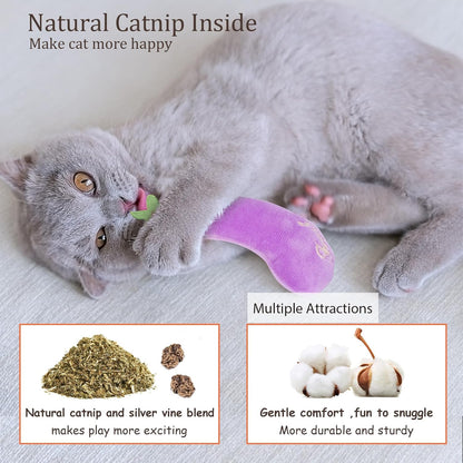 Catnip Cat Toys for Indoor Cats, Vegetable Shape 5 Pack