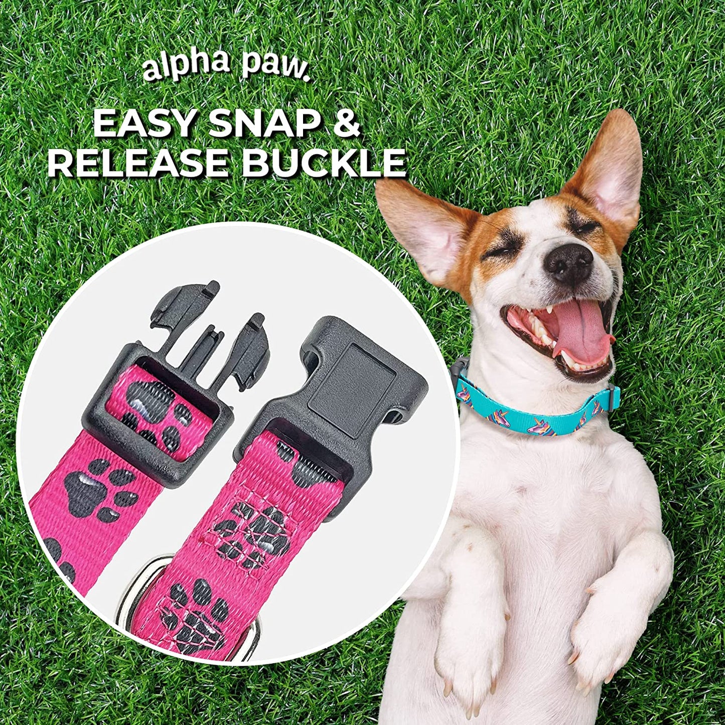 Flamingo-Inspired Large Dog Collar with Animal Bug Theme