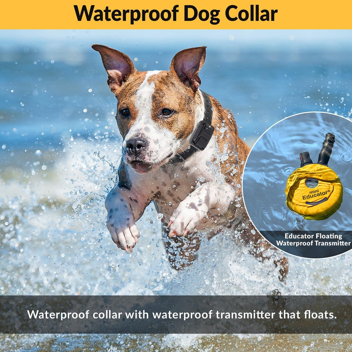 E-Collar ET-300 Mini  Dog Training Collar & Finger Clicker, Yellow