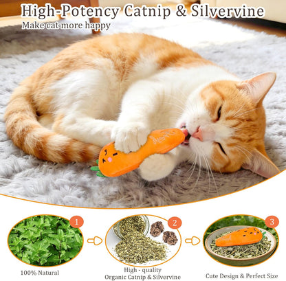 Catnip Cat Toys for Indoor Cats, Vegetable Shape 5 Pack