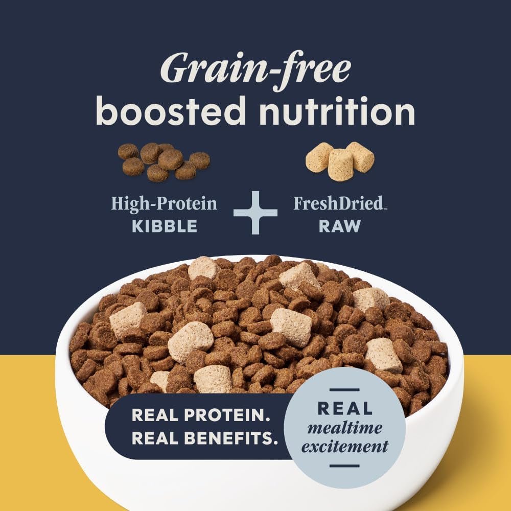 Rawboost, Dry Cat Food + Freeze Dried, Real Chicken, 10 Lb Bag