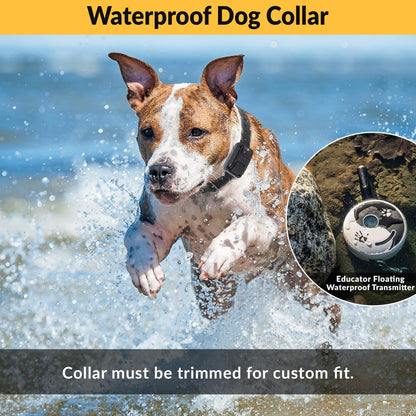 E-Collar Mini  ET-300 Remote Dog Training Collar, ZEN