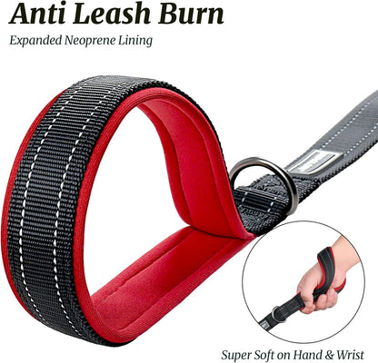 Short Dog Leash Closelyt Traffic Leash for Dog, 12In, Black/Red