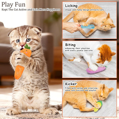 Catnip Cat Toys for Indoor Cats, Vegetable Shape 5 Pack