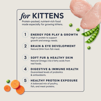 Original Kitten Dry Food, Raw Coated, Real Chicken, 4.5 Lb. Bag