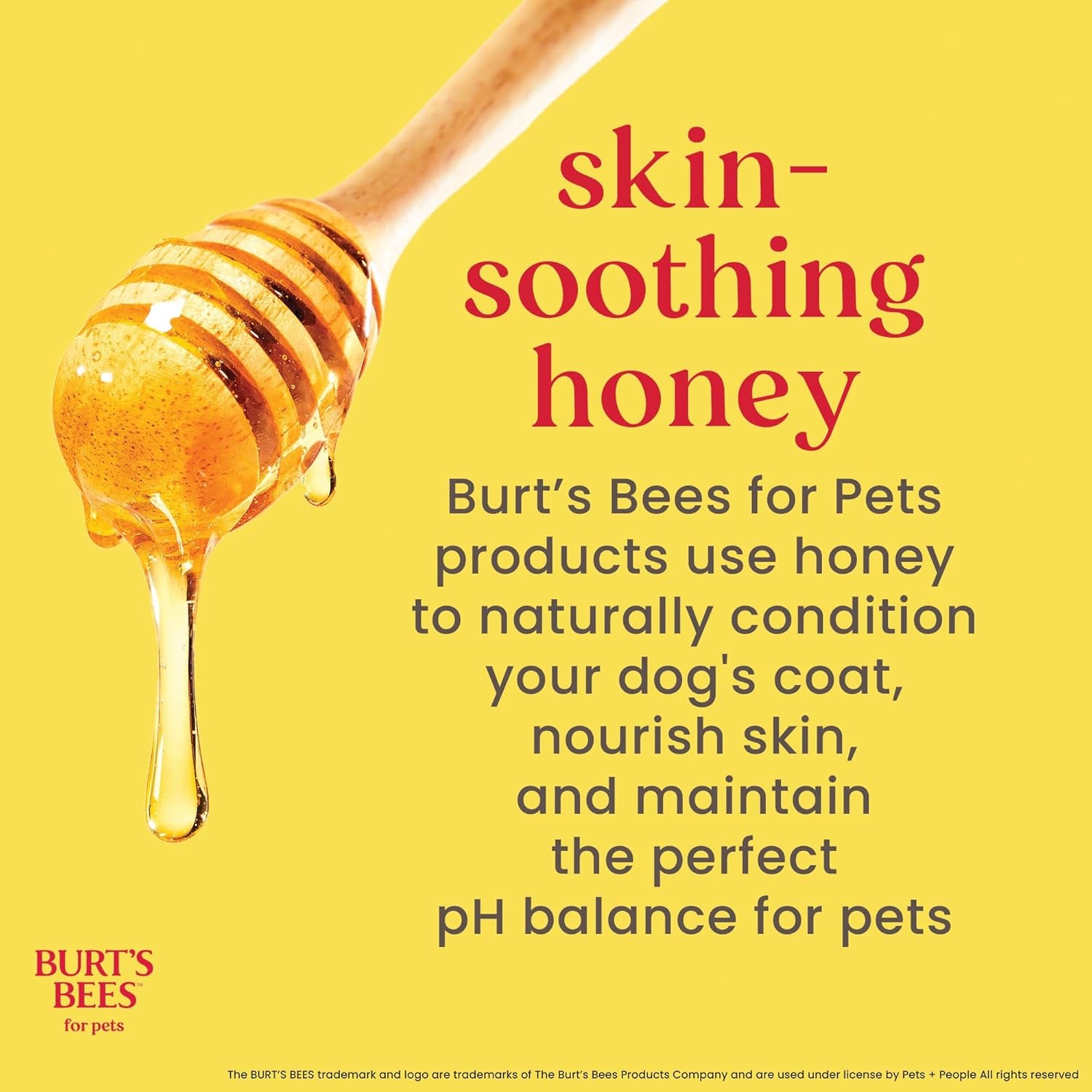 Burts Bees Tearless Puppy Shampoo & Conditioner with Buttermilk, 16 Fl Oz